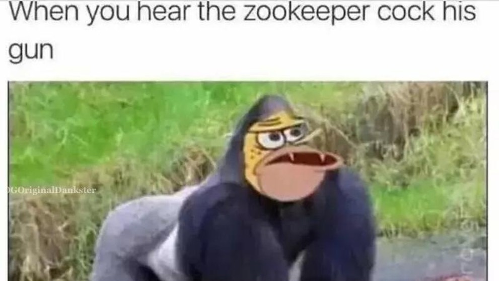 Harambe - 4