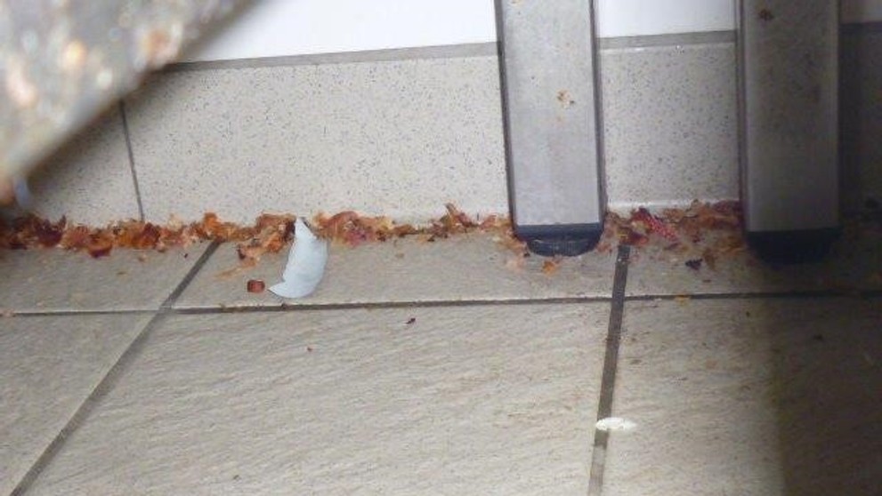 Hygienické podmínky v jihlavském řeznictví - 3