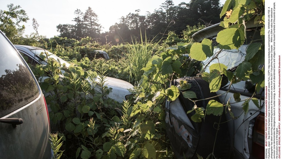 Fukušima dnes - 10