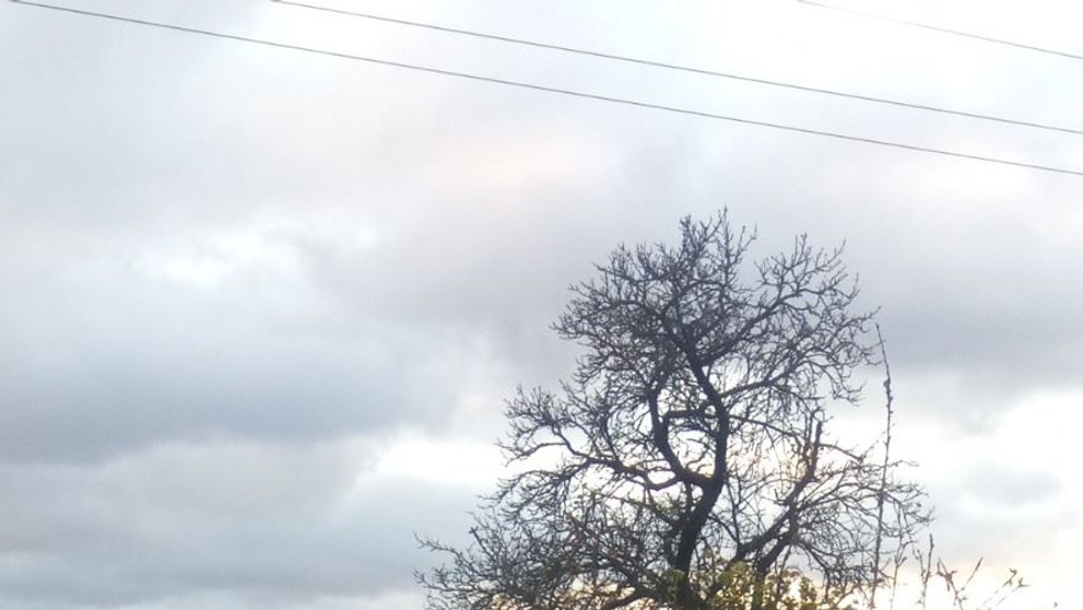 Následky silného větru
