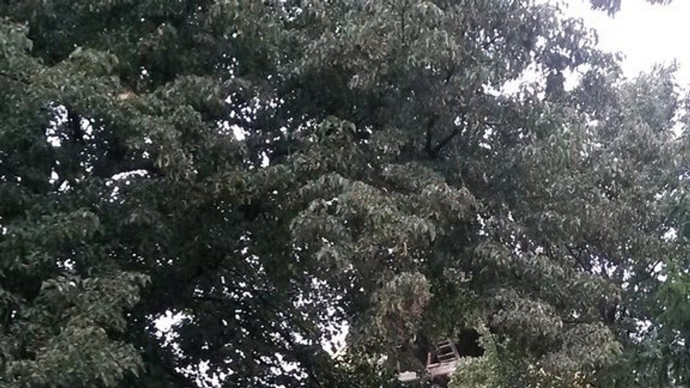 Zřícení kostelní věže - 1