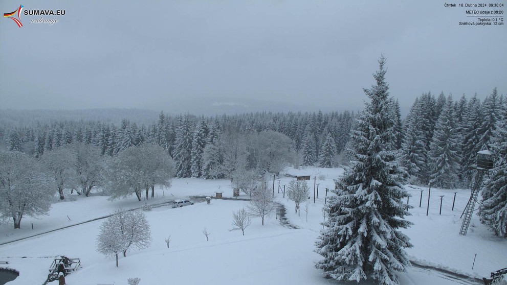 Bučina