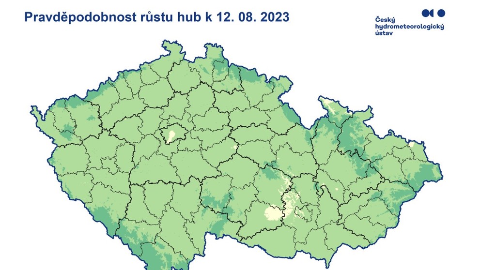 Pravděpodobnost růstu hub k 12. srpnu