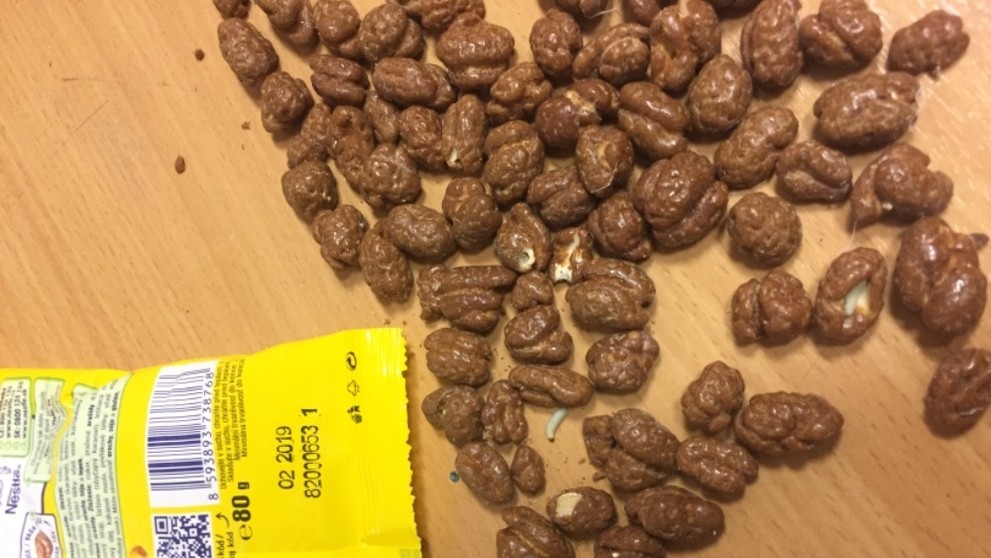 Červi v arašídech v čokoládě - 8