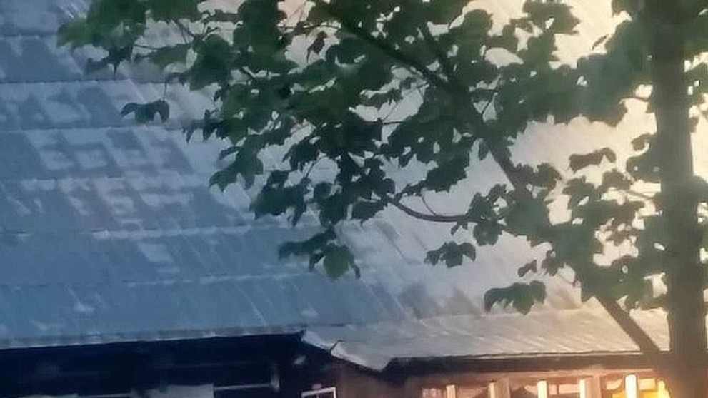 Vlčice z Krkonoš - 5