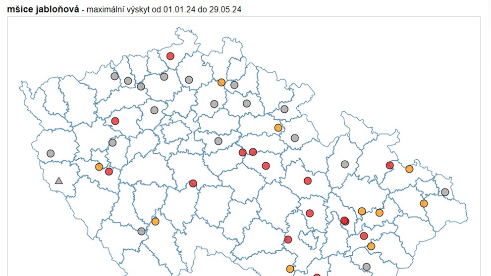 Výskyt mšice jabloňové