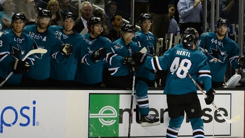 Hokejová kometa Tomáš Hertl - 1