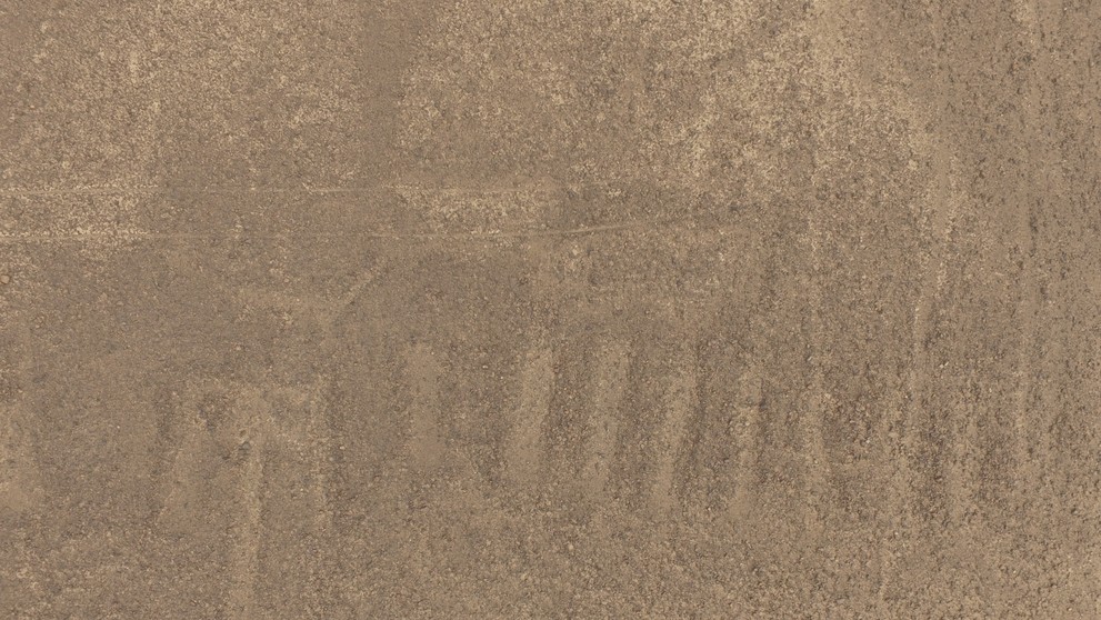 Geoglyf na pláni Nazca