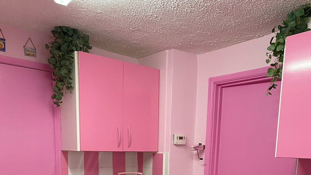 Žena si pořídila růžovou kuchyň ve stylu oblíbené panenky Barbie - 3