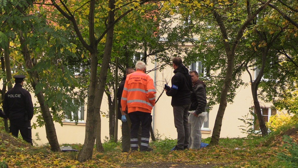 Nález mrtvého muže v parku u pražské Bulovky - 3
