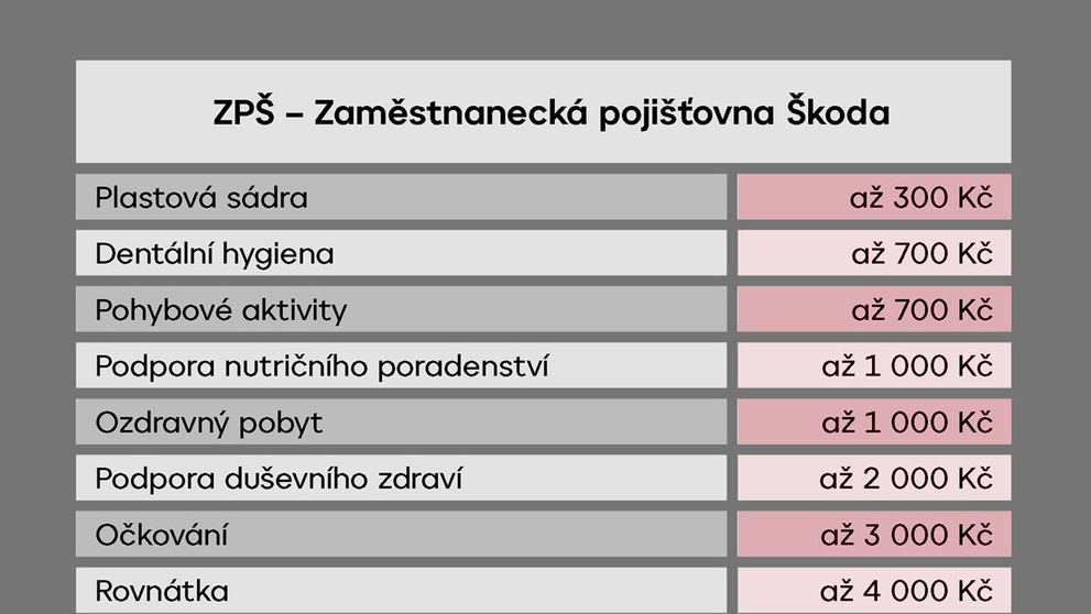 TABULKA ZPŠ