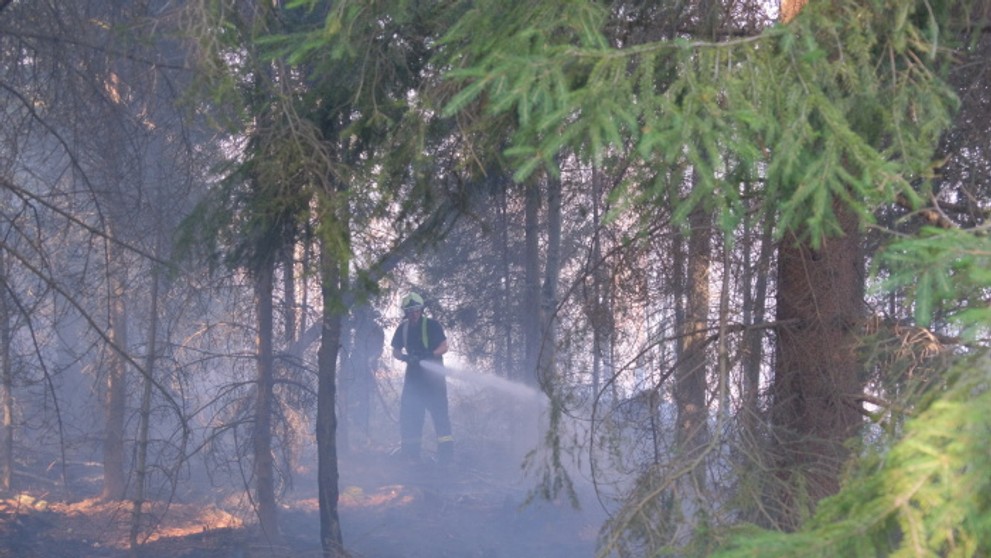 Požár lesa na Opavsku - 23