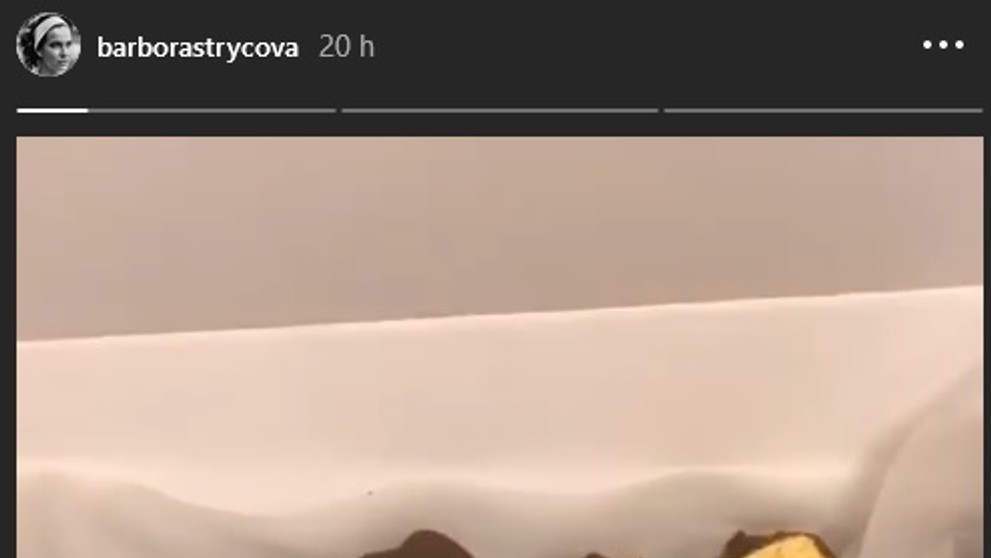 Vánoce - Barbora Strýcová