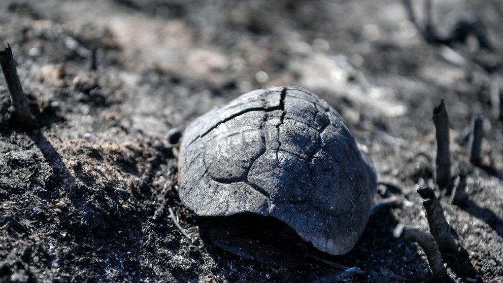 Následky požáru v Řecku, 27. 7. 2023 Korfu