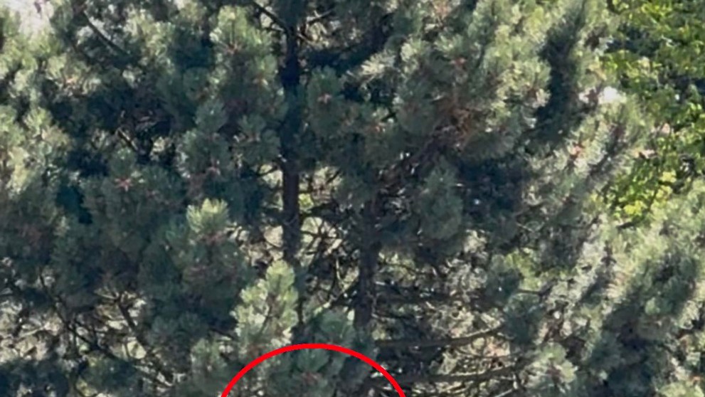 Soukromý dron u heliportu v Liberci