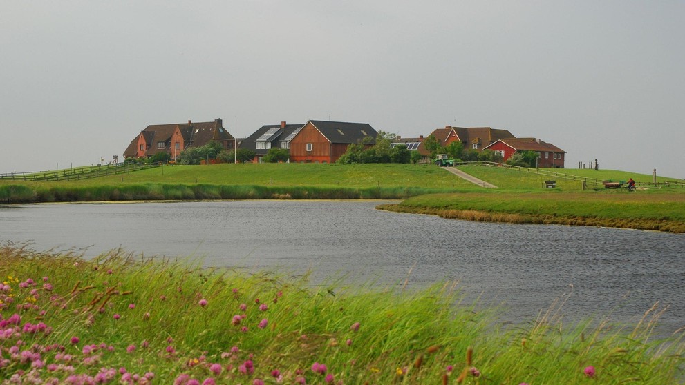 Ostrov Hallig Hooge - 5