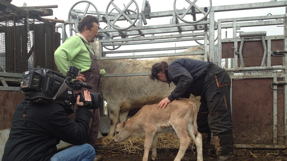 Víkendkové prázdniny na farmě - Jako prase v žitě - 3