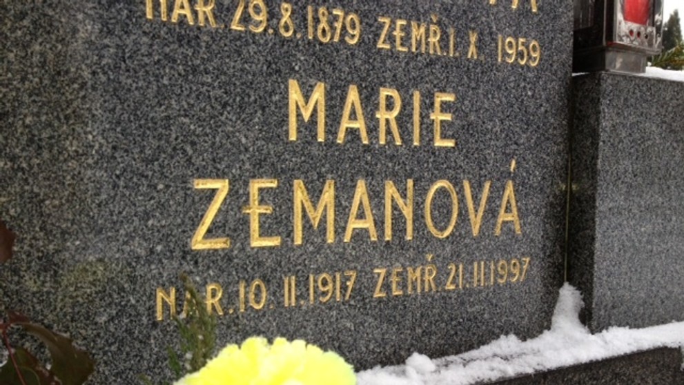 Zemanova matka - 1