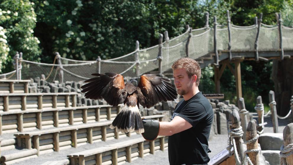 Superstar v ZOO - 3