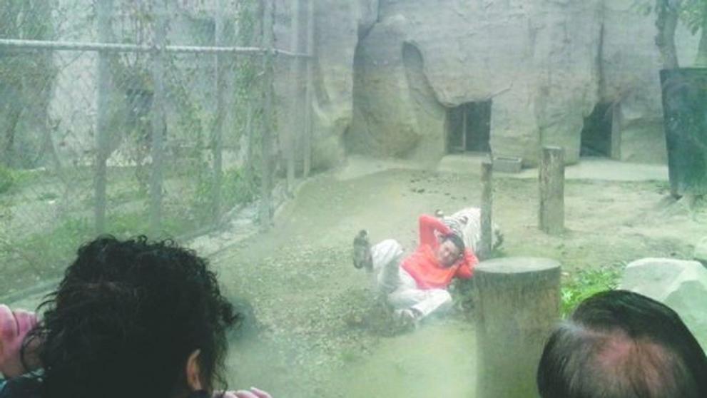 Horor v zoo: Mladík se vrhl k tygrům - 2