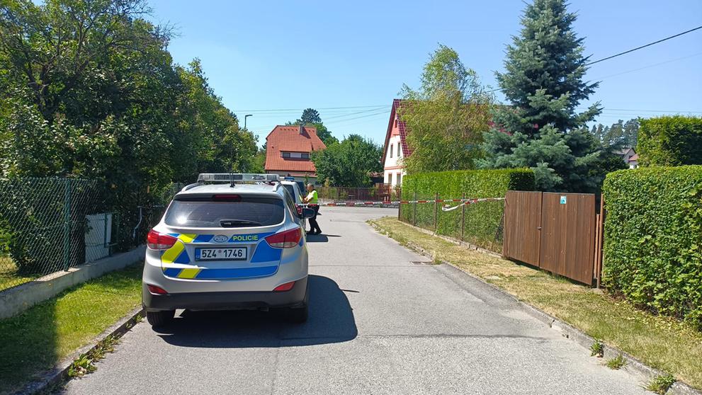 Vražda v Rožnově (2)