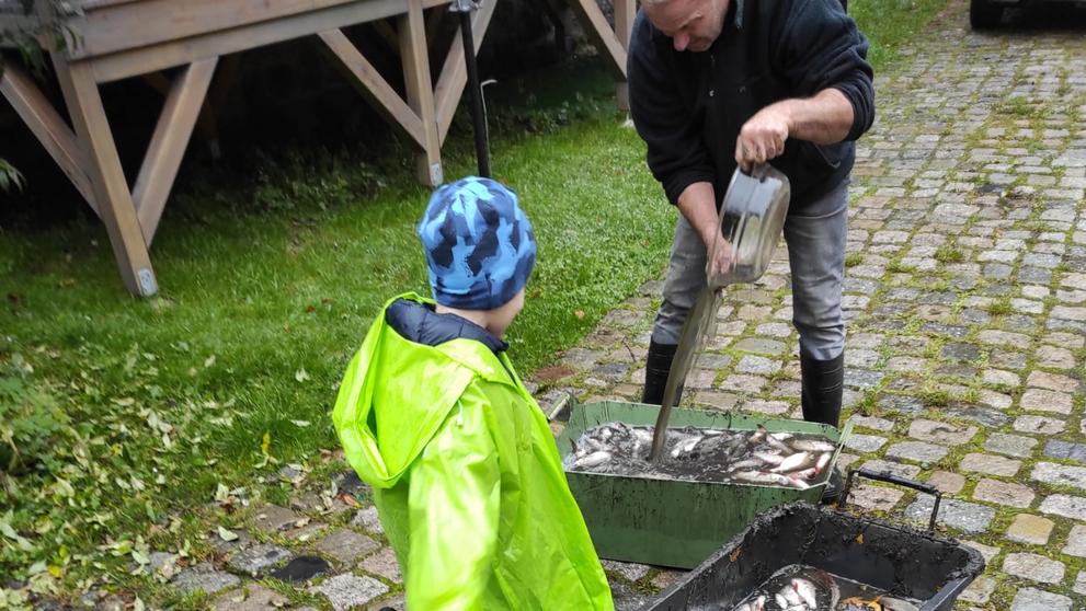 Výlov nádrže Harcov