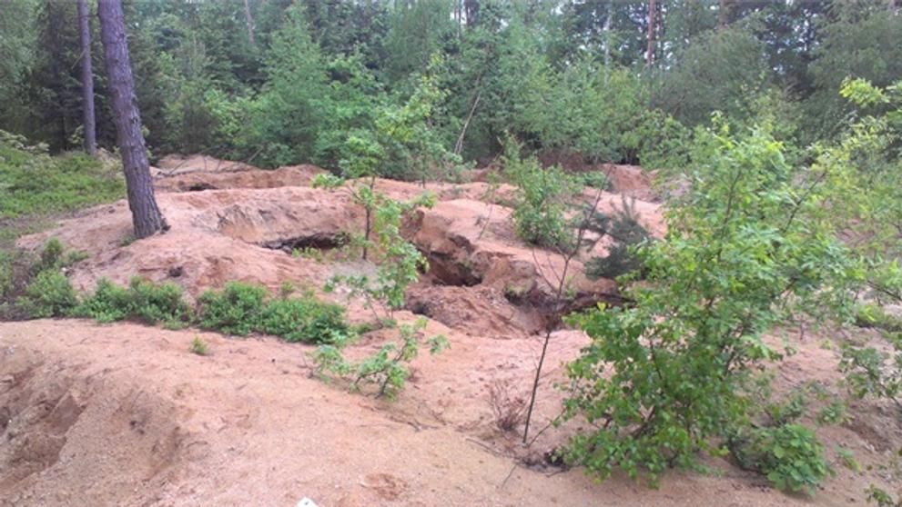 Rozkopaný les - 4