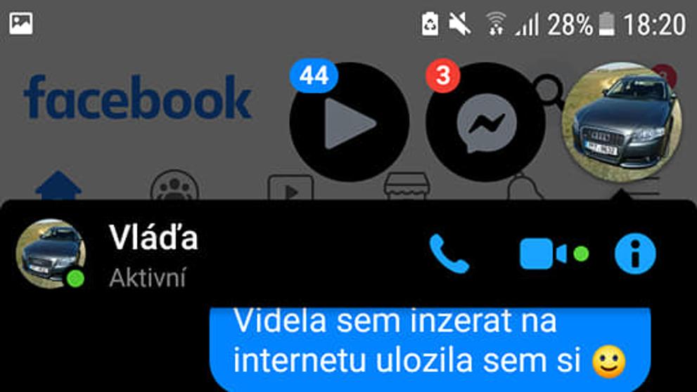 Chtěla koupit štěně - on žádal sex