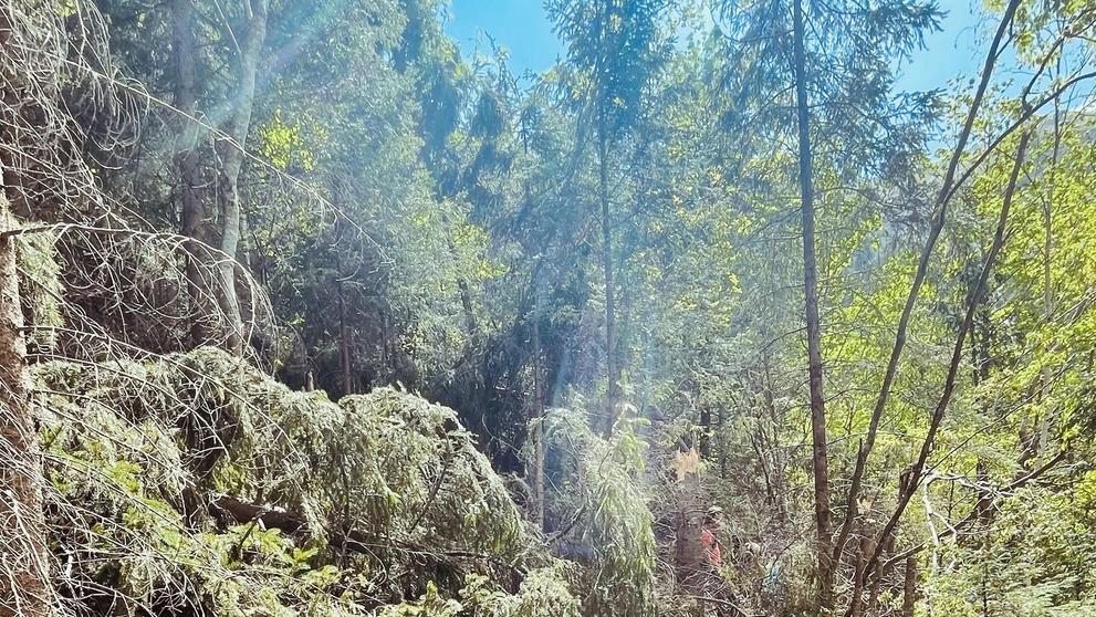 Turistický chodník v úseku Ždiar – Široké sedlo