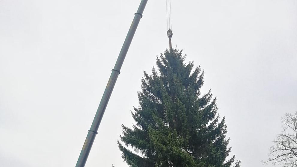 Vánoční strom ze Semil
