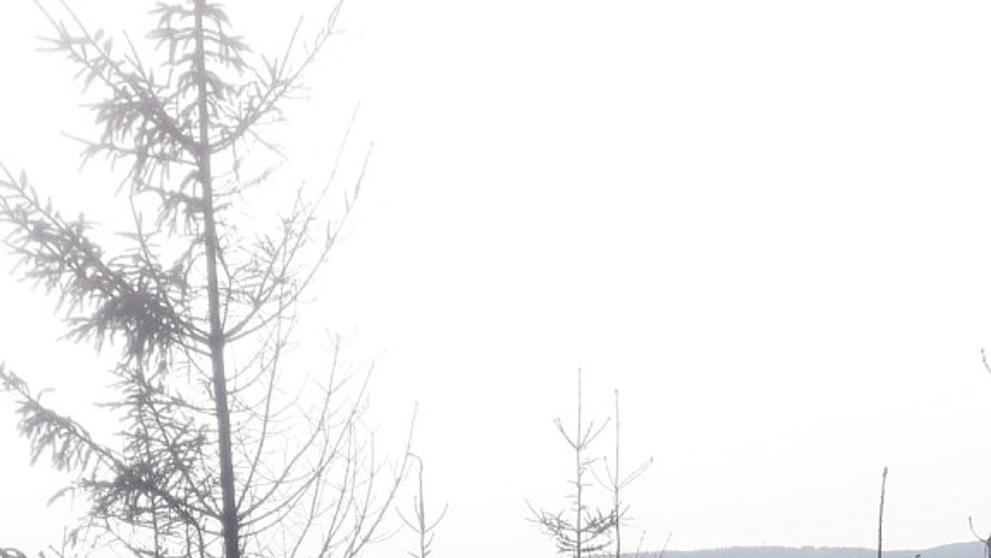 Hasiči likvidovali požár lesa na Tanvaldském Špičáku