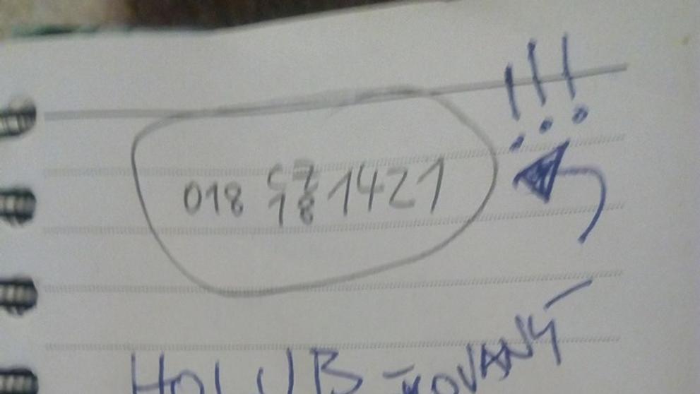 Muž pátrá po majiteli poštovního holuba - 4