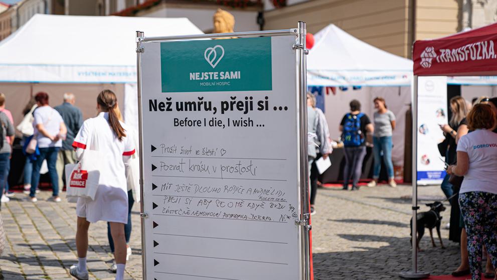 Akce Blesk Ordinace (2)