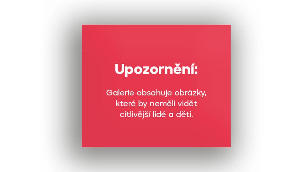 Upozornění do galerie