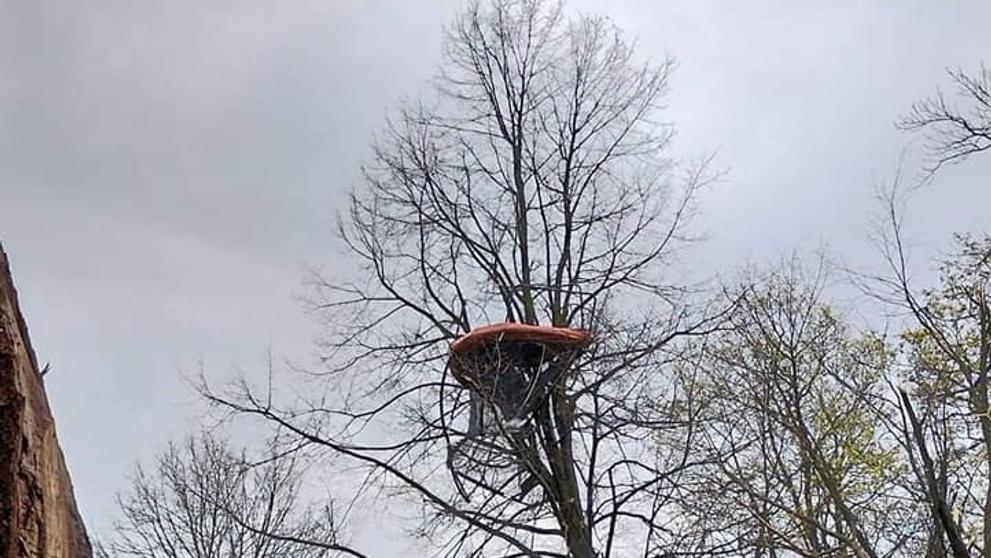 V Nejepíně na Havlíčkobrodsku nejspíš řádilo tornádo