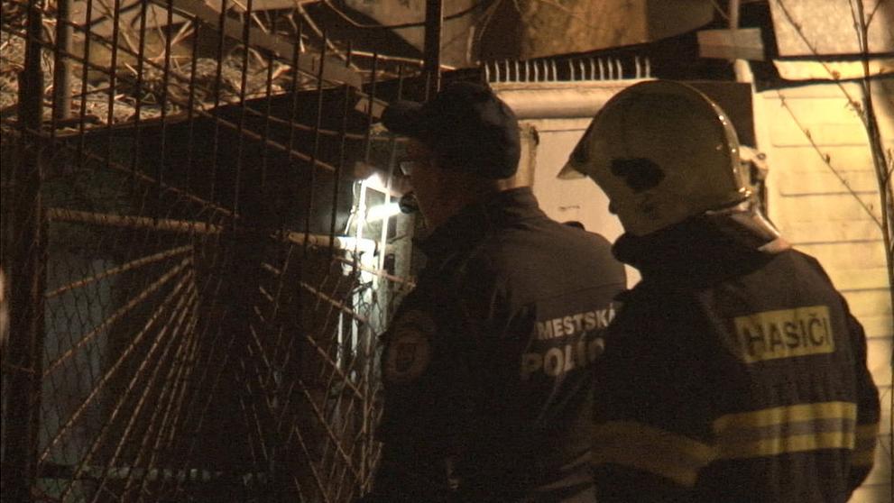 Mrtvého muže brutálně zohavili jeho psi - 2
