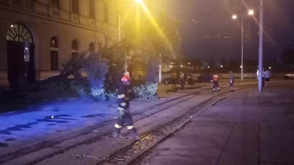 Na brněnském náměstí spadl po bouři strom - 2