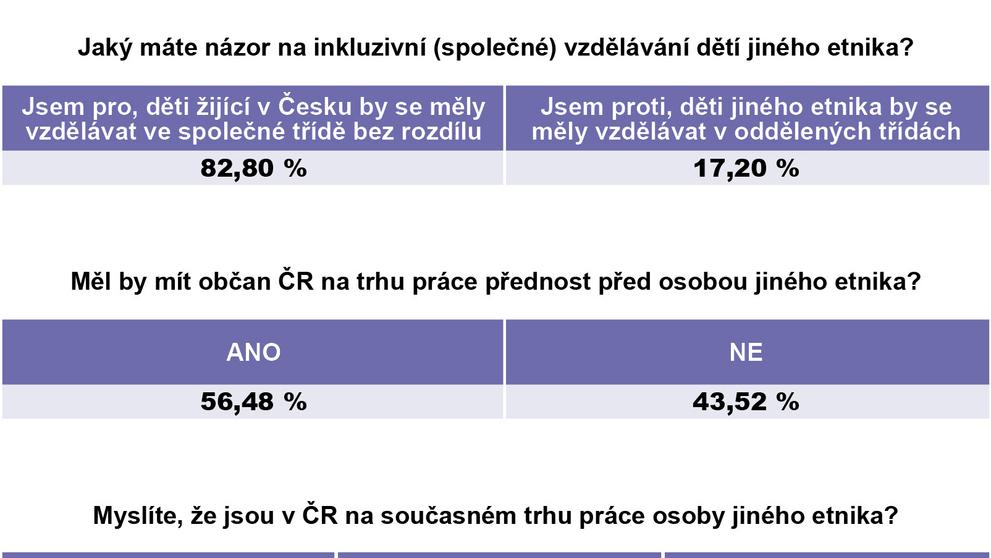 Průzkum - Češi jsou tolerantní národ. Bojí se ale migrantů a teroristického útoku, ukázal průzkum - 2