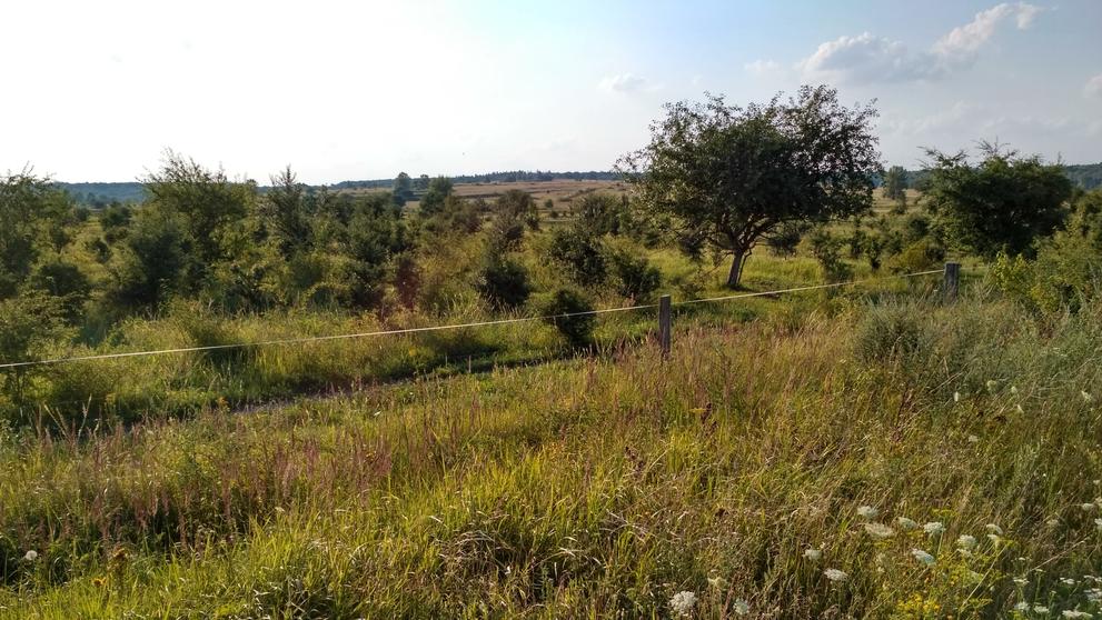 Přírodní rezervace Milovice - 3