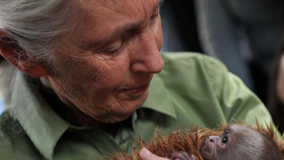 Jane Goodallová