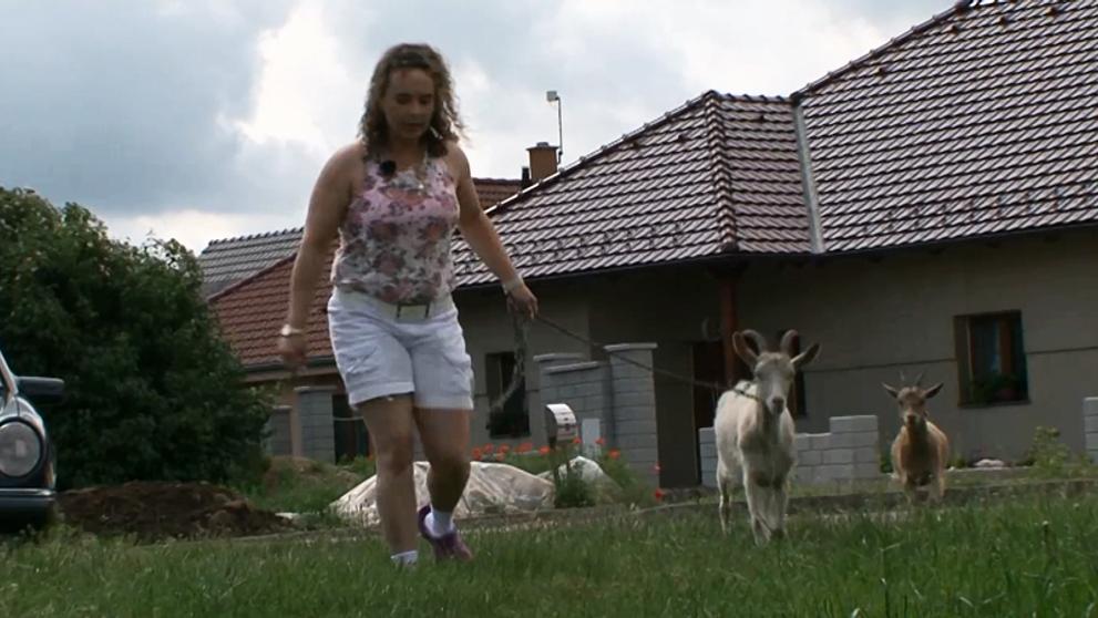 Výměna manželek: Zdenka venčila kozenky! - 6