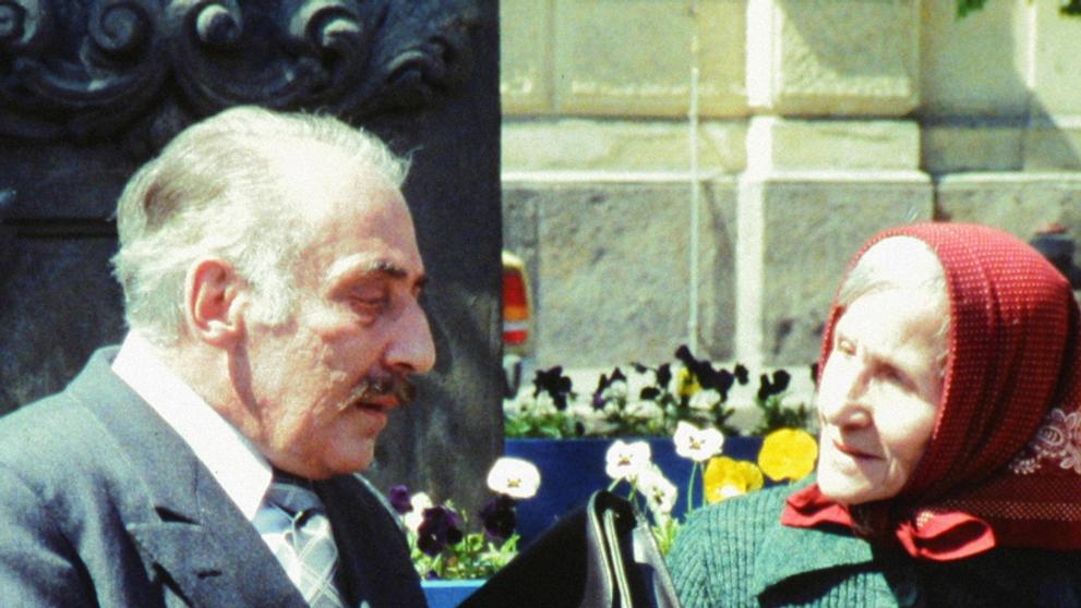 Causa králík