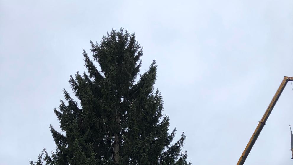 Vánoční strom na Staroměstském náměstí - 3