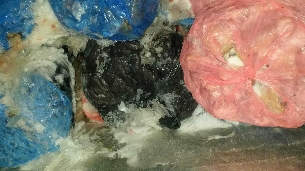 Celníci a policisté odhalili v SAPĚ závadné potraviny - 19