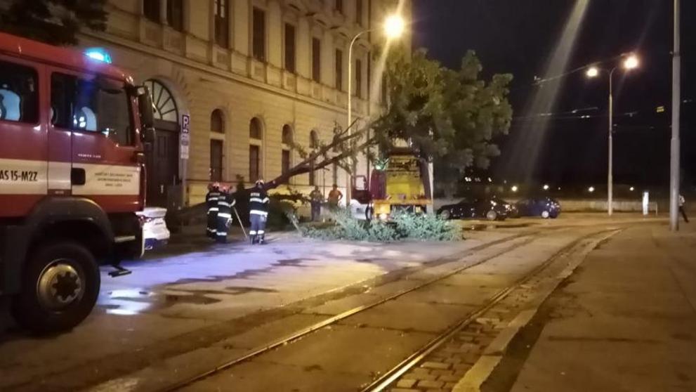 Na brněnském náměstí spadl po bouři strom - 4