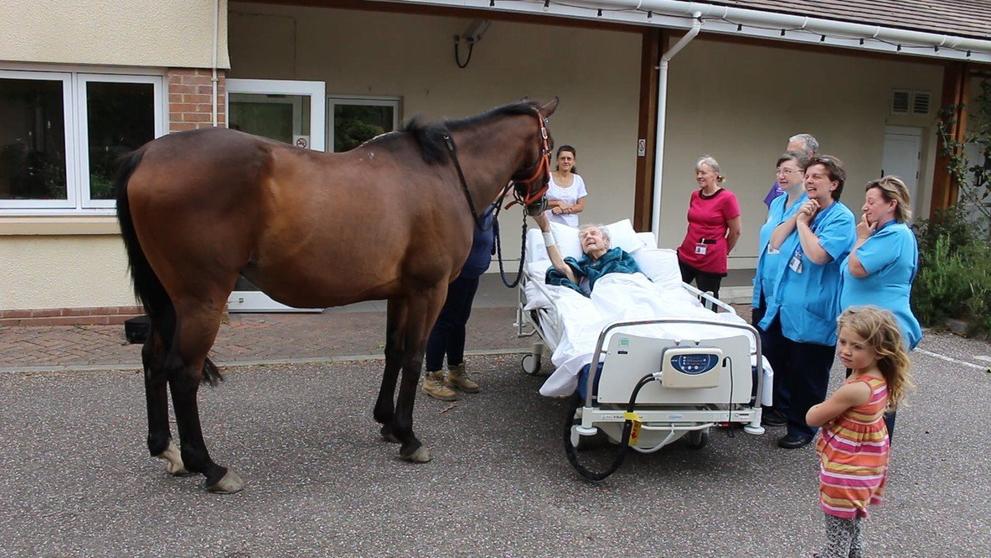 Muže v hospici potěšila návštěva koně - 2