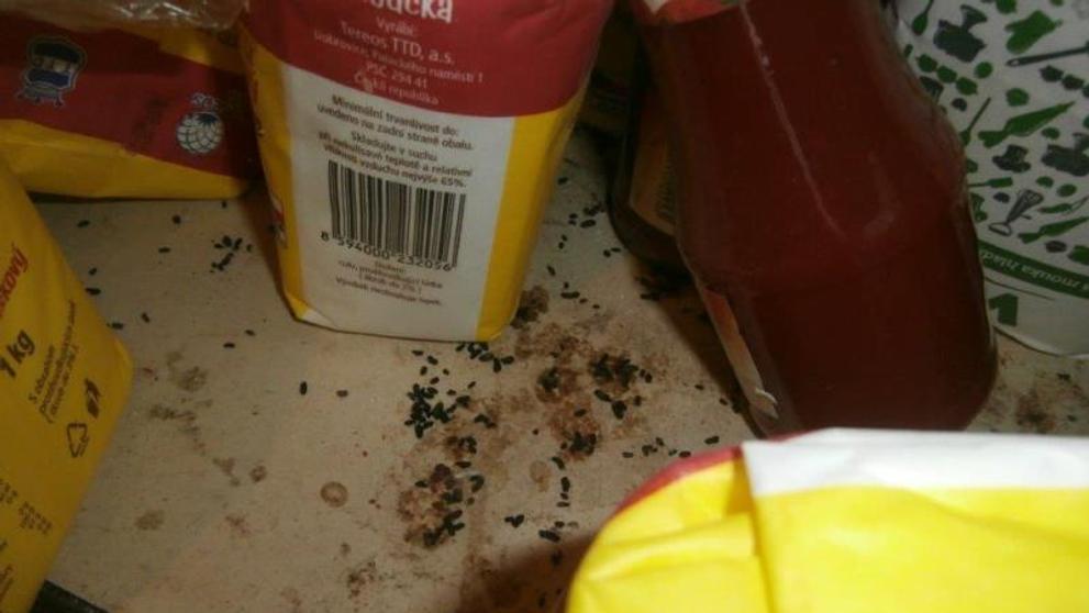 Uzavřené provozovny za závažné hygienické prohřešky - 2