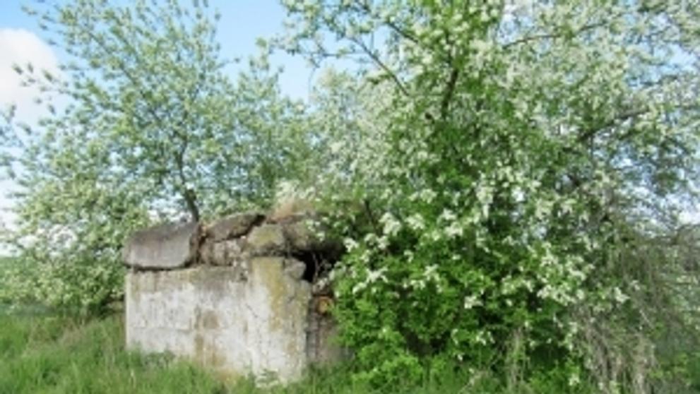 Opava - bunkr („řopík“) SLO VEČ R360P