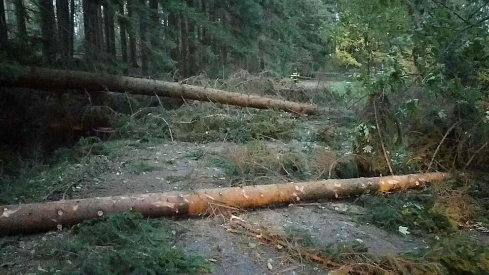 Následky silného větru - 30. 10. - 5