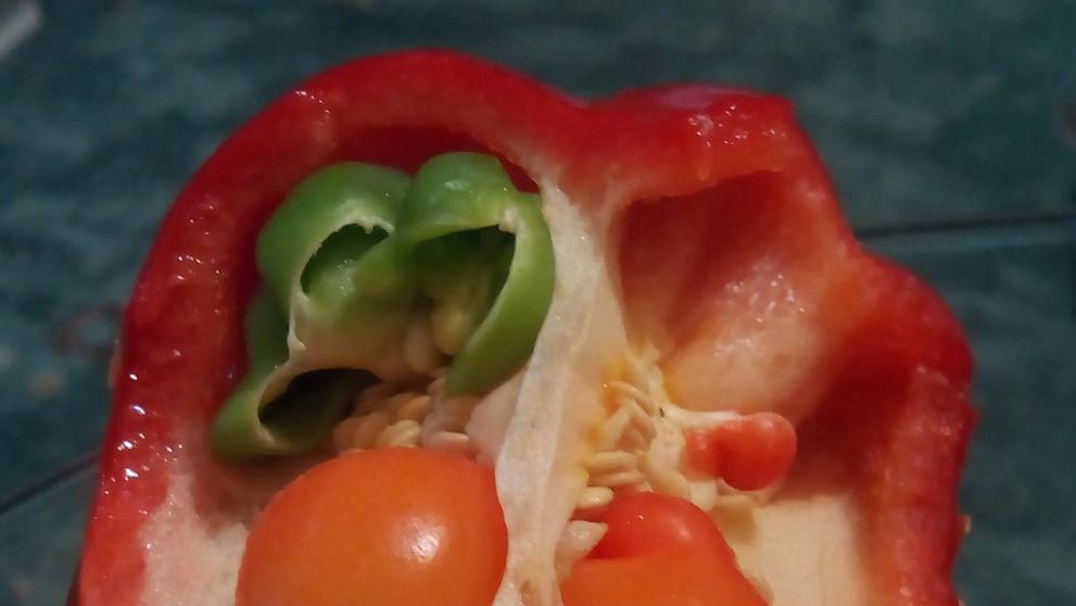 Paprika